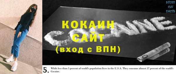 индика Алексин