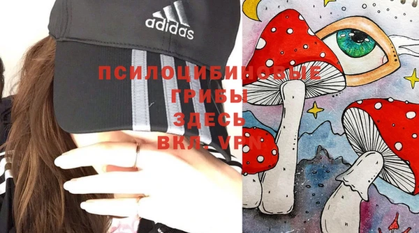 индика Алексин