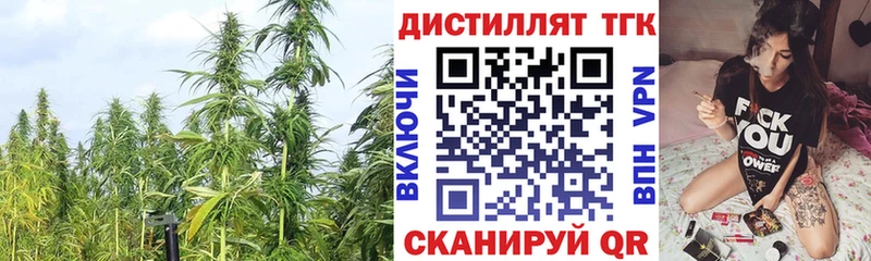 Дистиллят ТГК гашишное масло Куровское